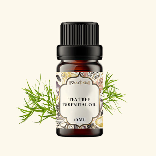 Tea Tree Oil